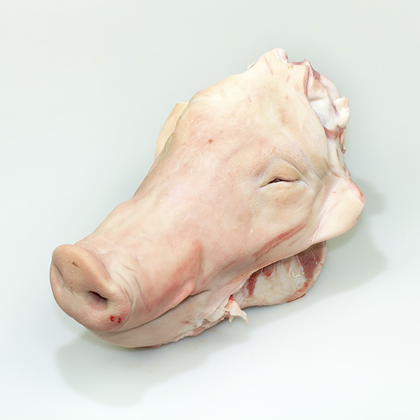 Frozen pig head without cheeks