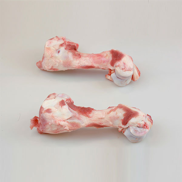 pig humerus bones wholesale