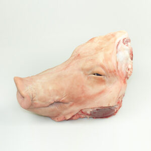 Cabeza con carrillar y sin orejas